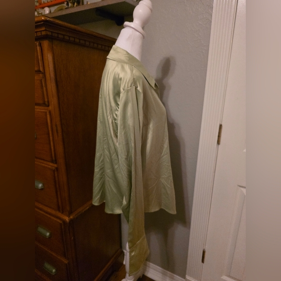 Women's Bell Long Sleeves Button Down Shiny Sage Gree Top Wild Fable XXL - Picture 2 of 14